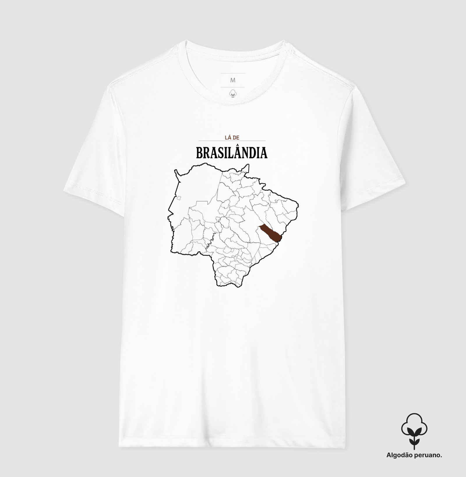 Brasilândia | Território MS - Imagem 6