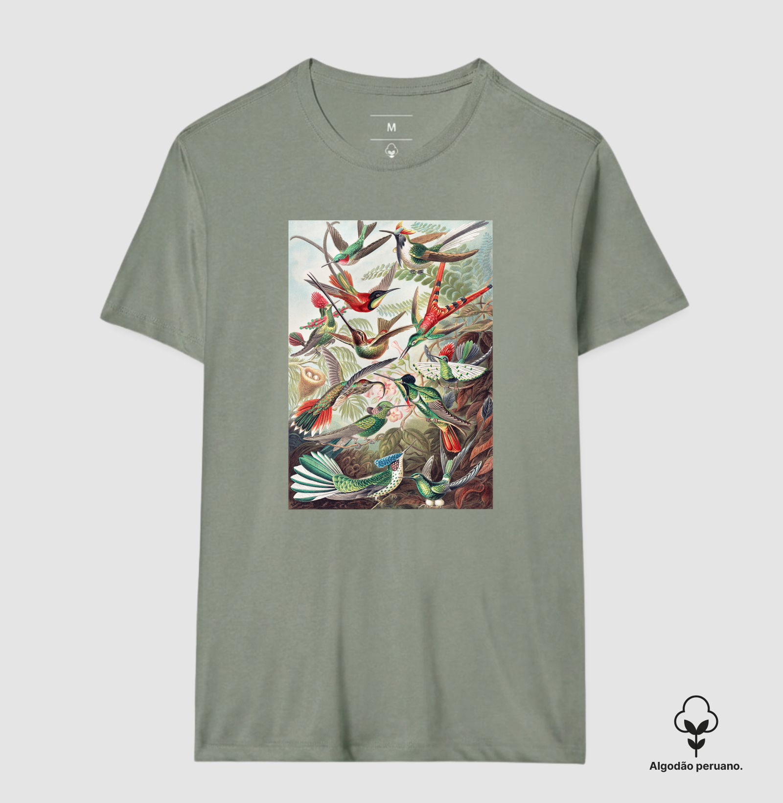 Camisa 5