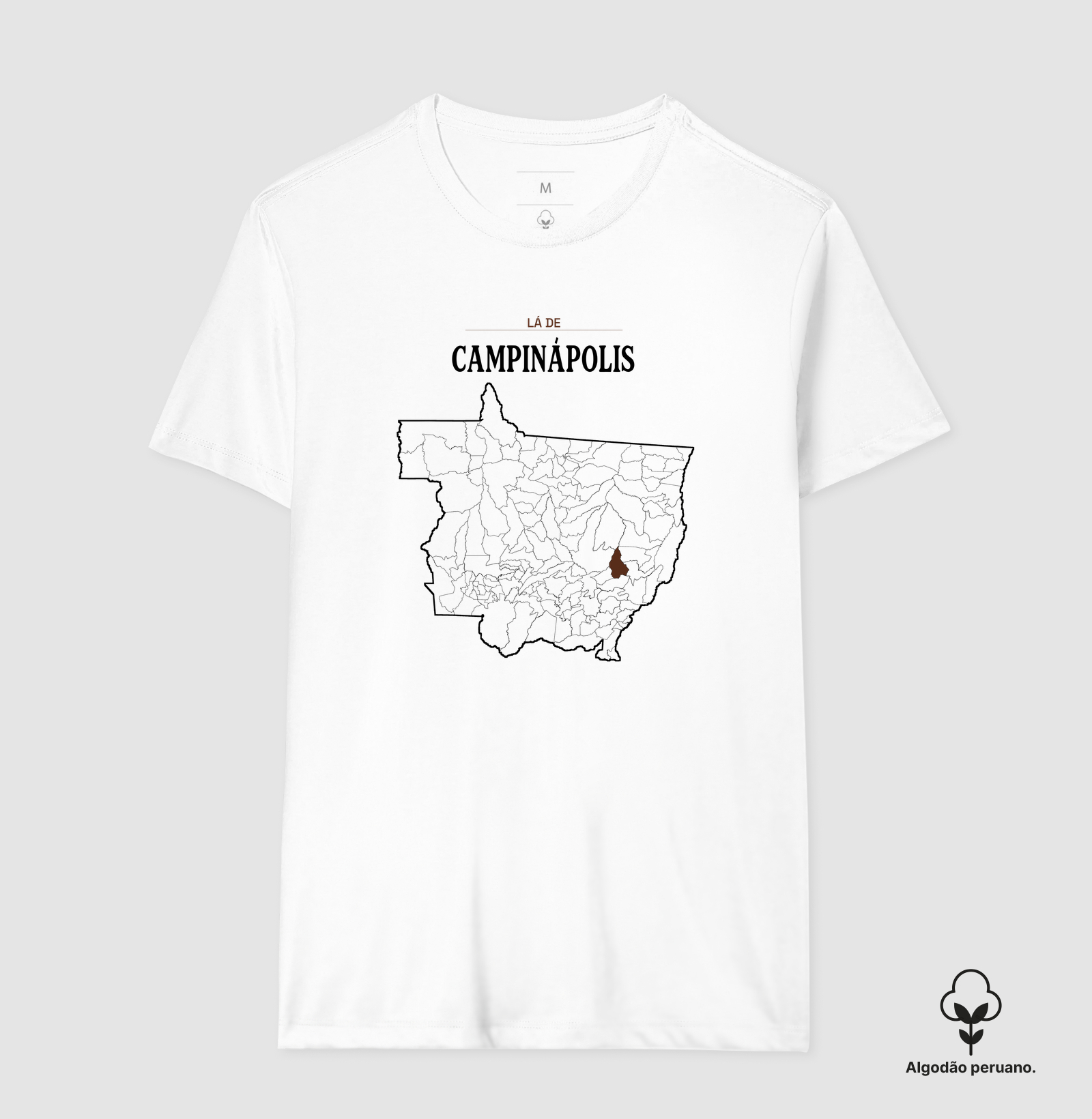 Campinápolis | Território MT - Imagem 6