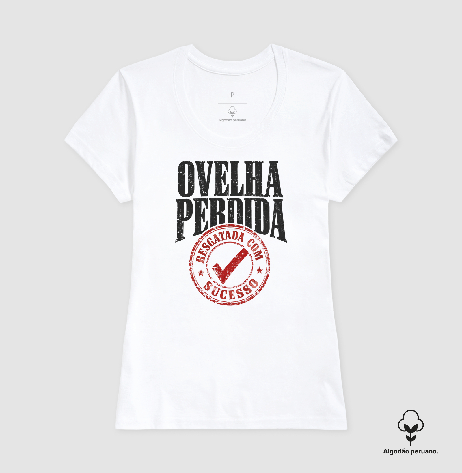 Ovelha Perdida Resgatada com Sucesso - Imagem 7