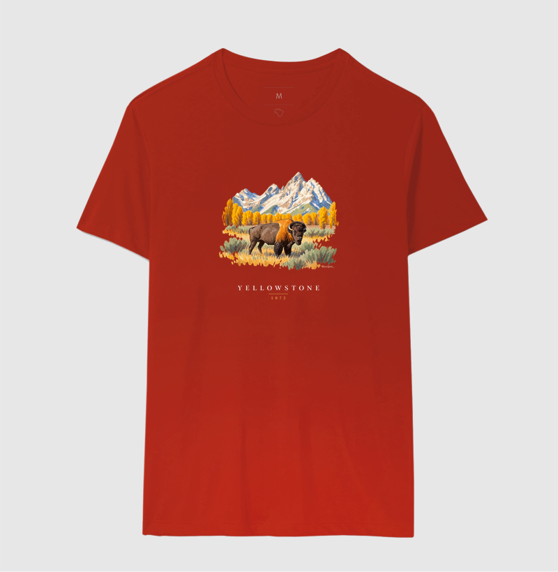 Bison - Yellowstone - Imagem 10