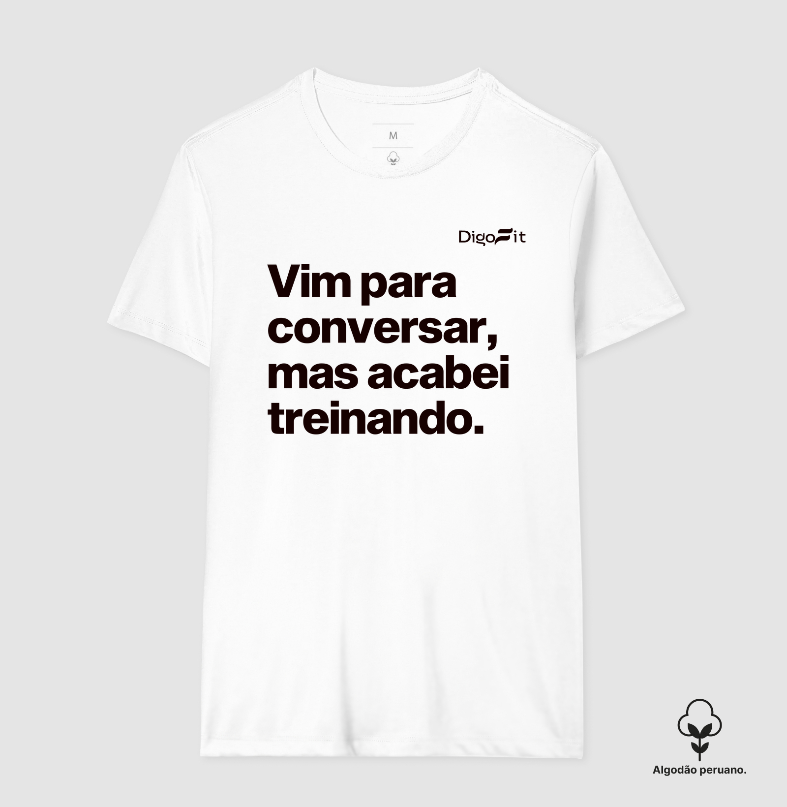 CAMISETA ALGODÃO PERUANO ACADEMIA VIM PARA CONVERSAR - Imagem 6