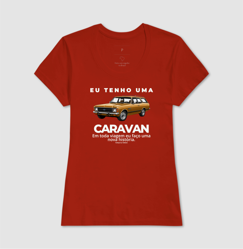 Eu tenho uma caravan ocre - Imagem 11
