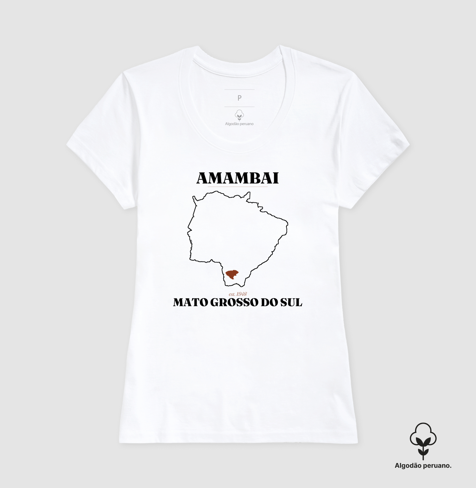Amambai | Legado MS - Imagem 6