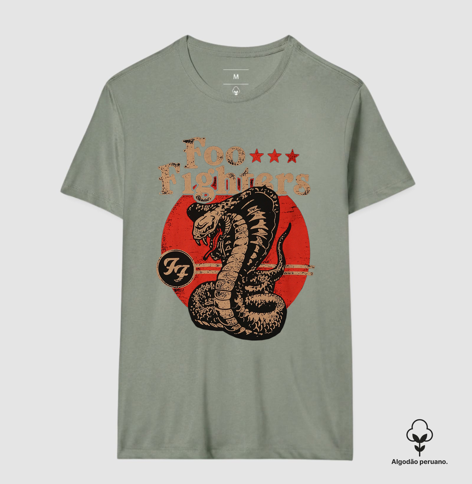 Foo Fighters - Serpente - Imagem 9