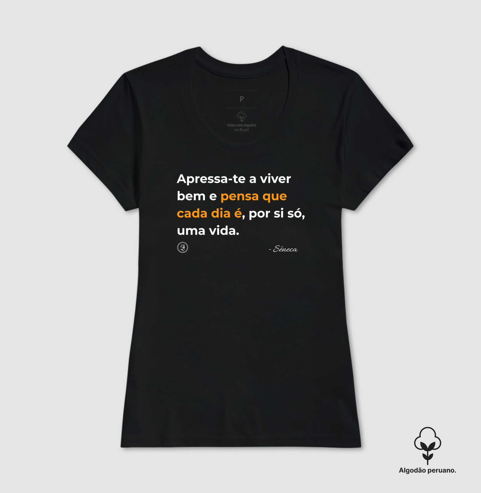 Estocisimo de Sêneca "Apressa-te a viver bem" - Imagem 3