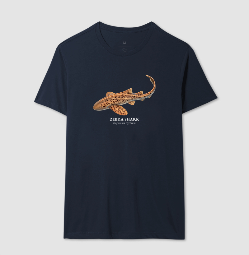 Zebra Shark - Imagem 7