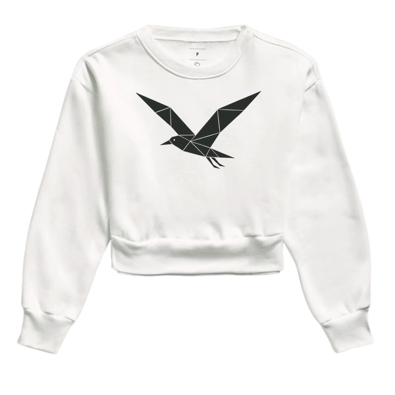 Gaivota - Imagem 3