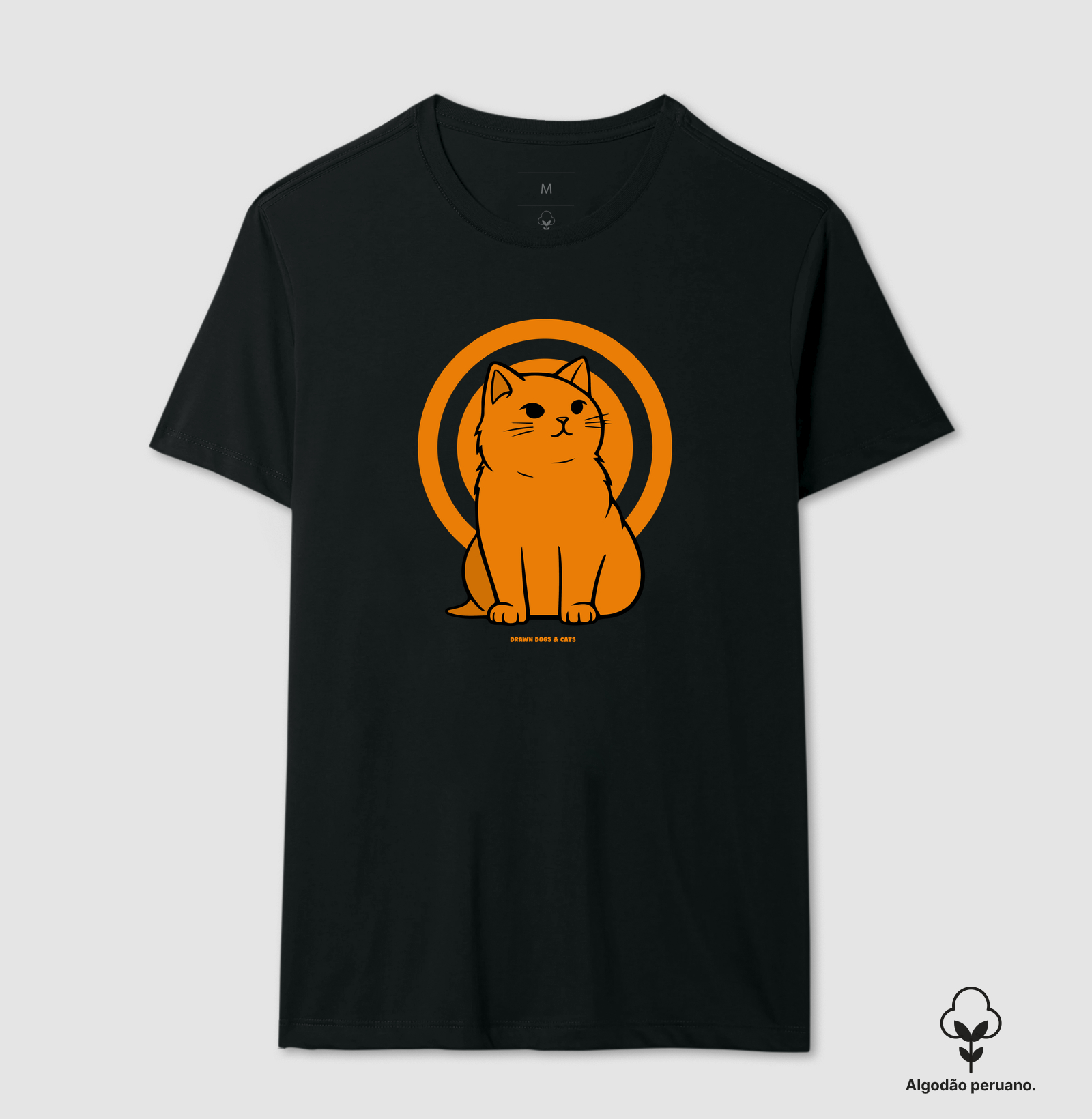 Gato laranja - Imagem 6