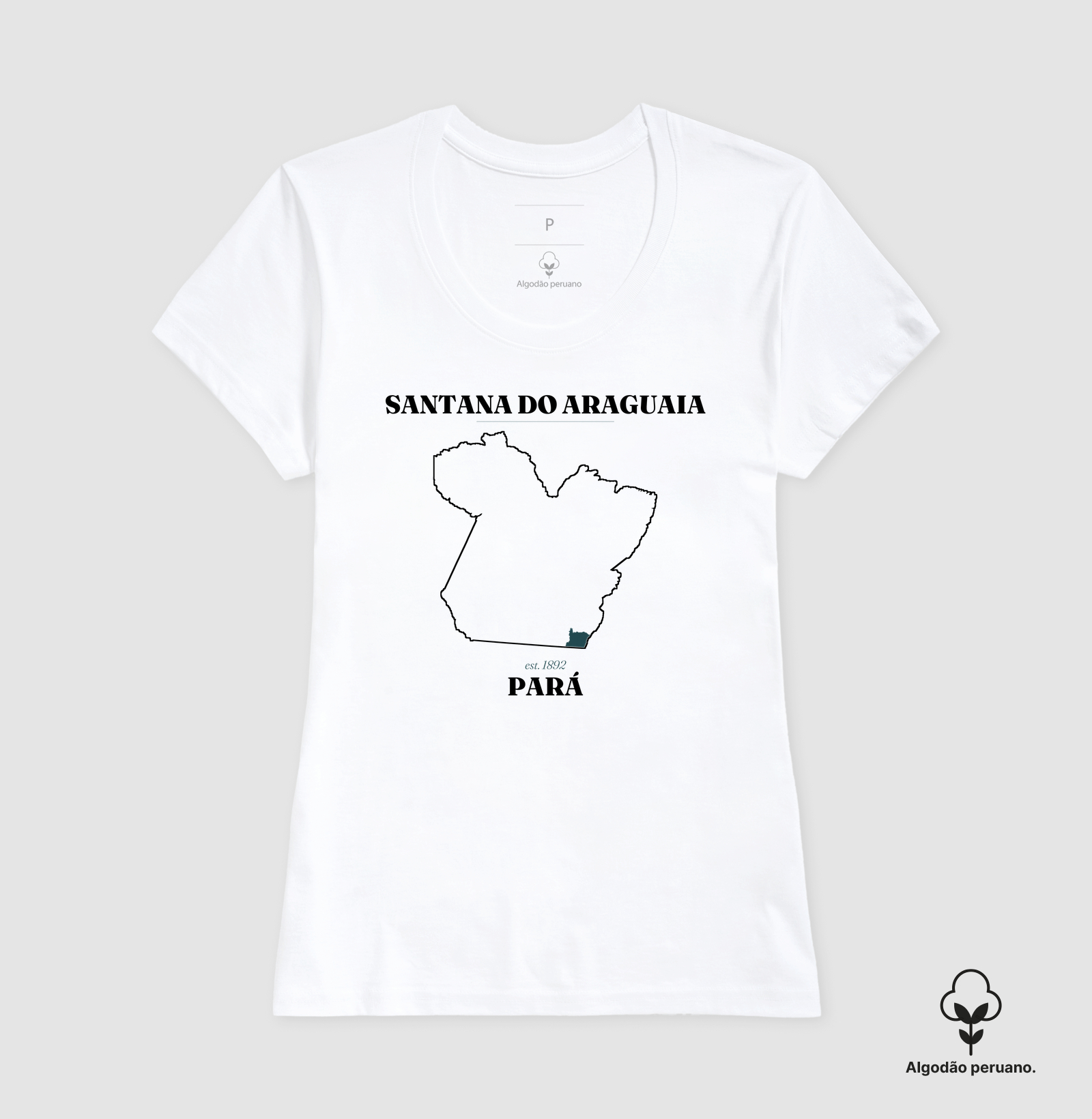 Santana do Araguaia | Legado PA - Imagem 8