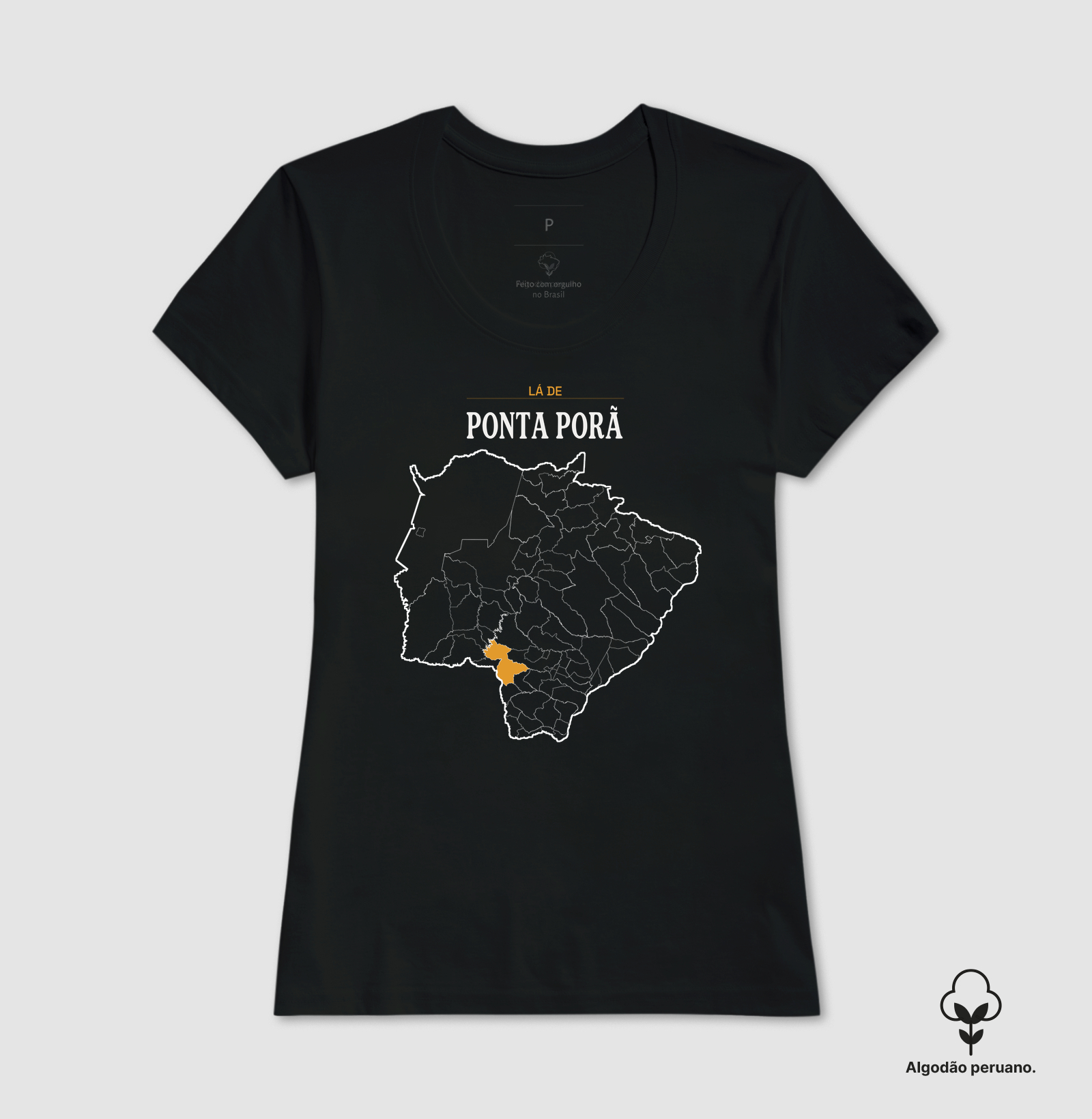 Ponta Porã | Território MS - Imagem 3