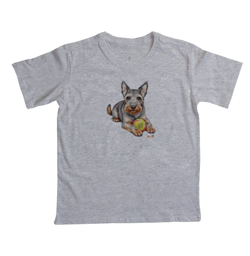 Schnauzer do BT - Imagem 3