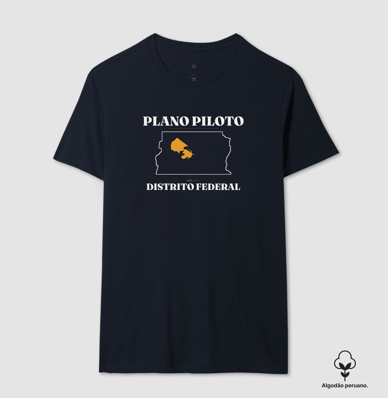 Plano Piloto | Legado DF - Imagem 8