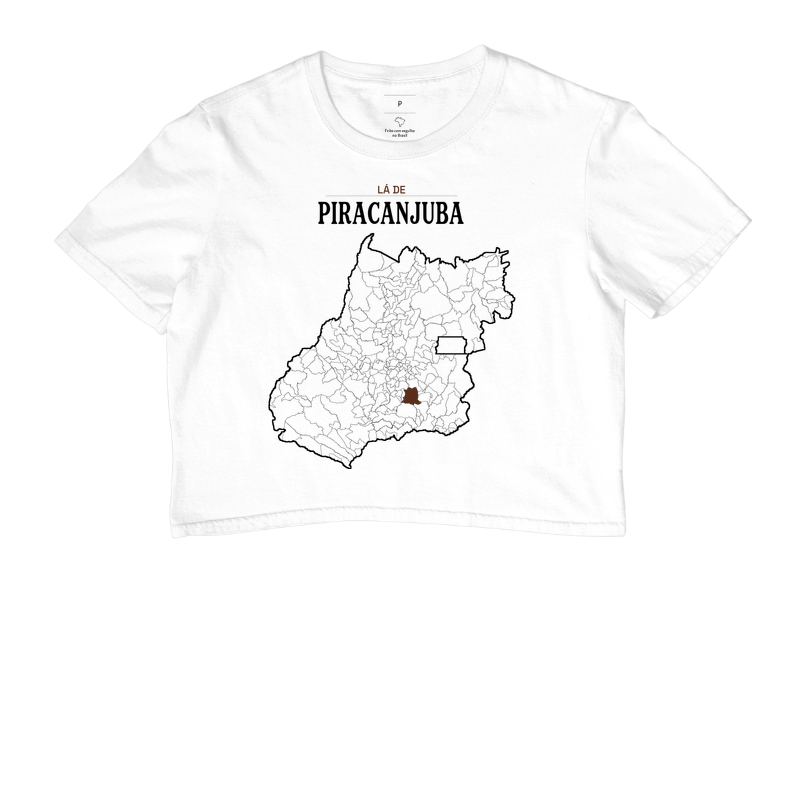 Piracanjuba | Território GO - Imagem 3