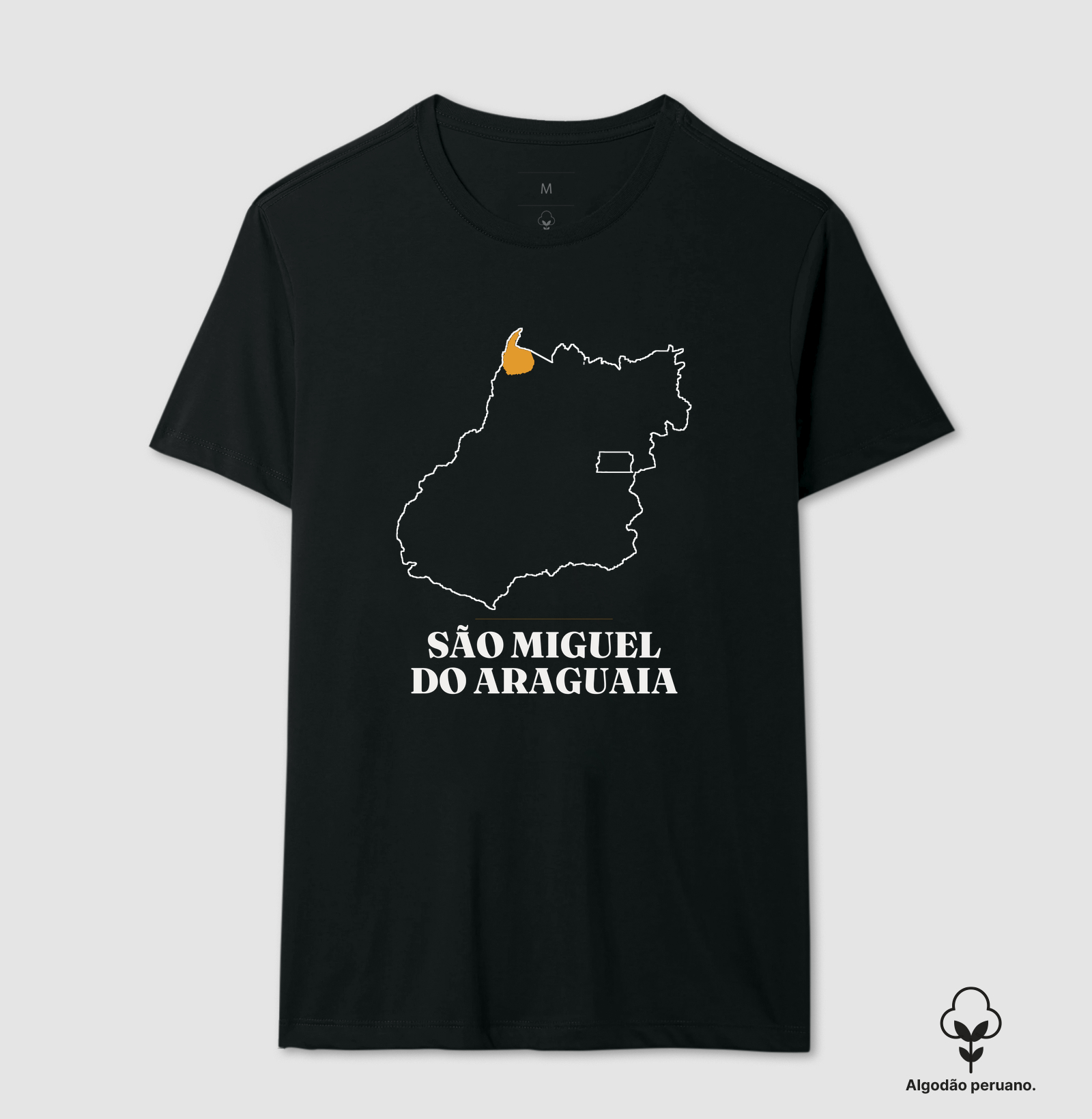 São Miguel do Araguaia | Traço GO - Imagem 2