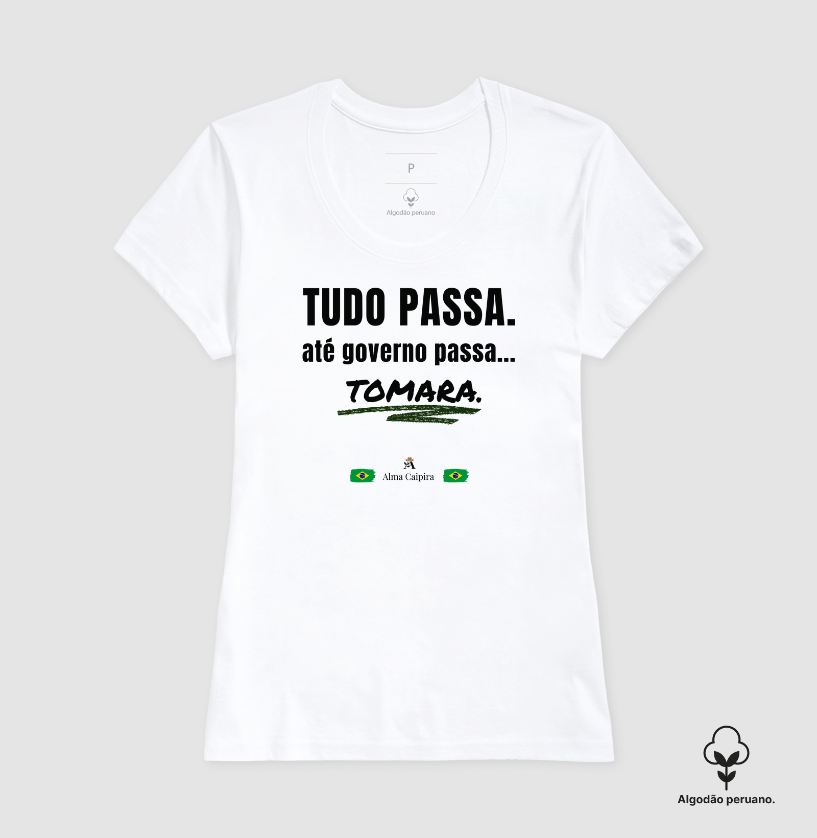 Tudo passa, até governo passa... tomara - Imagem 5