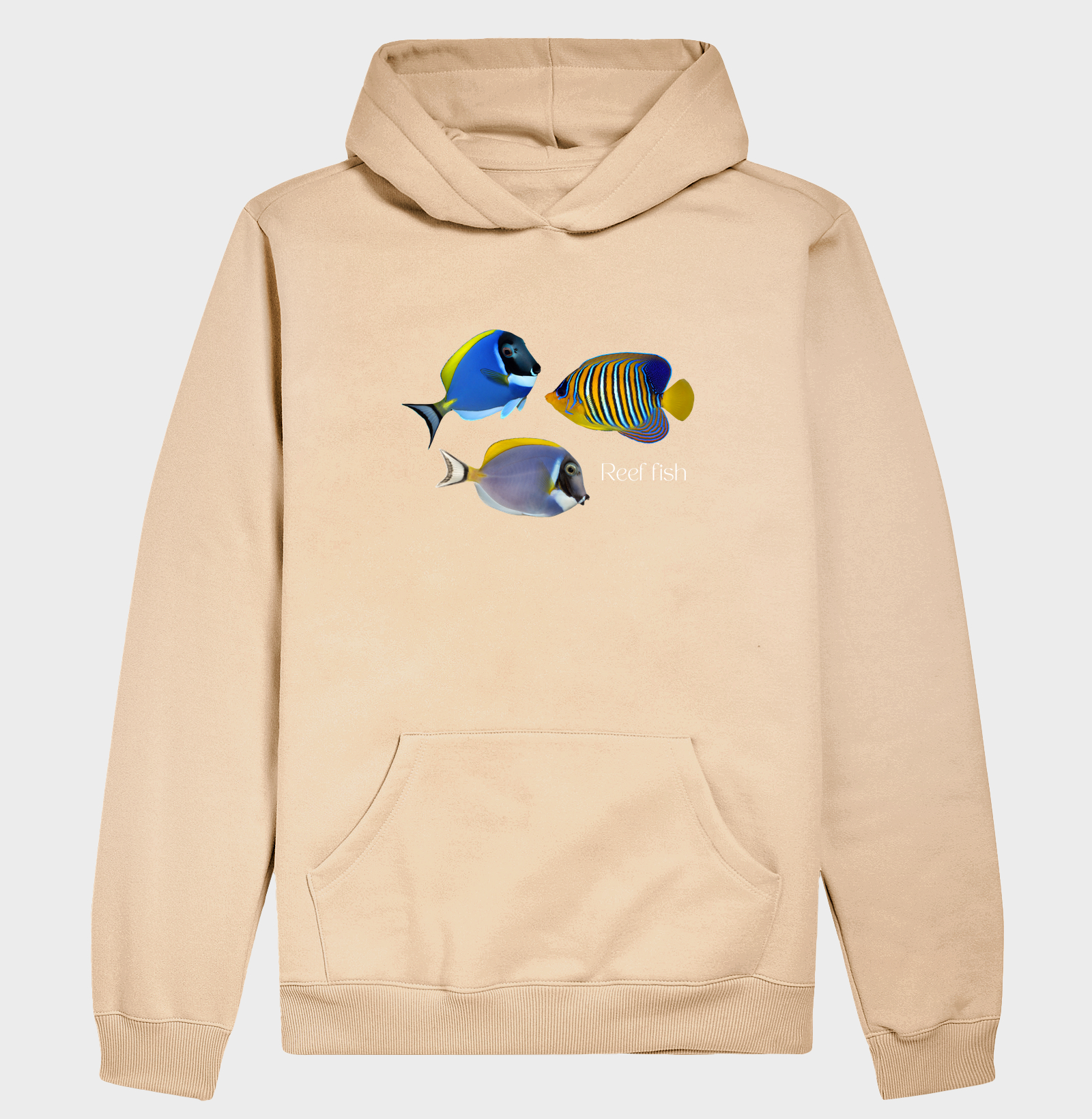 Reef Fish - Imagem 5