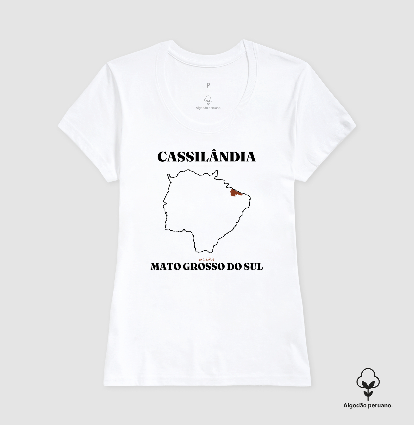 Cassilândia | Legado MS - Imagem 8