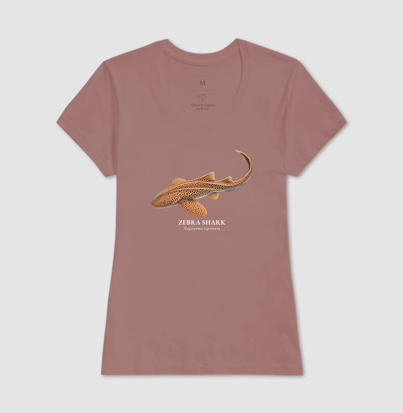 Zebra Shark - Imagem 18