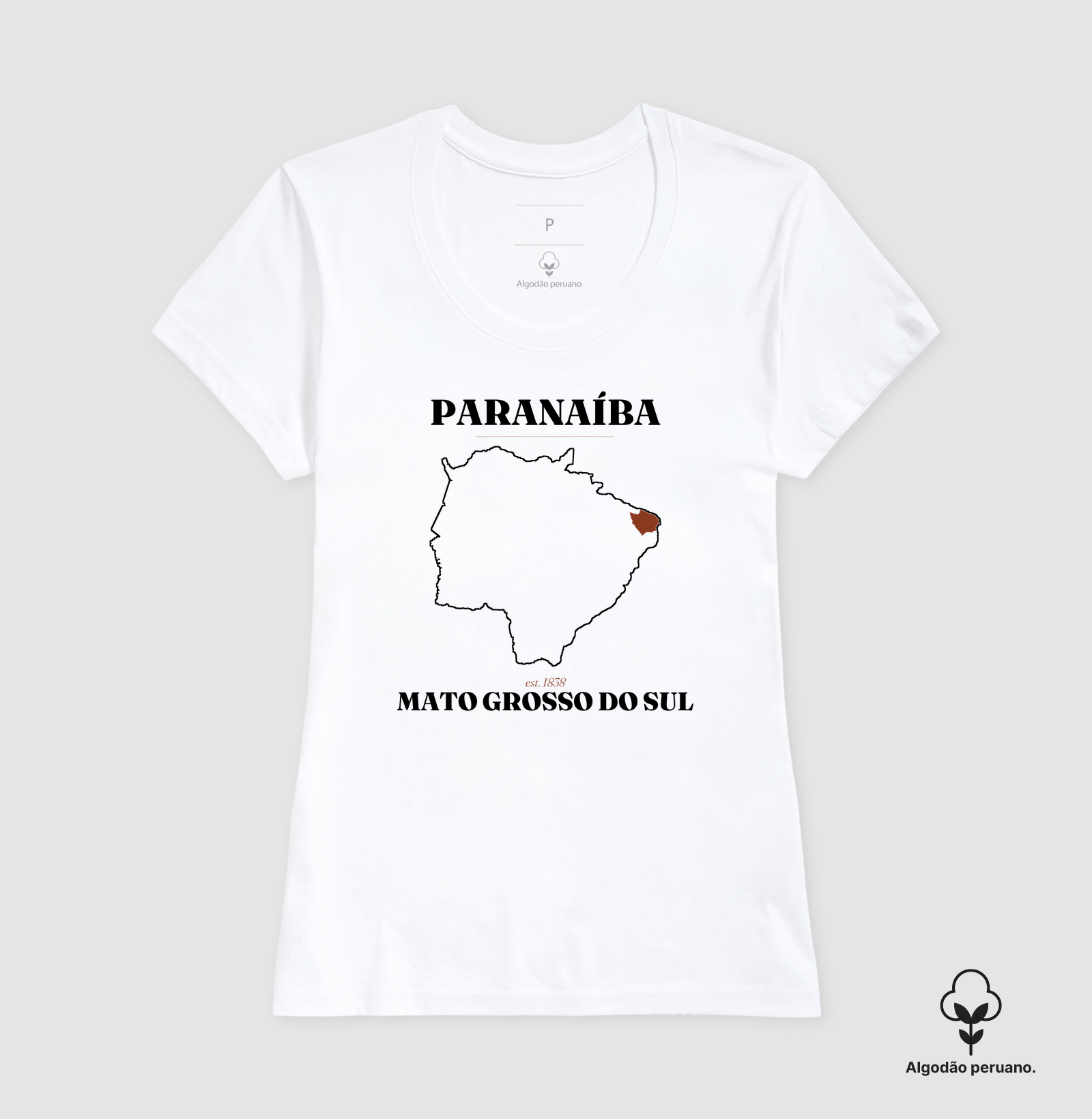 Paranaíba | Legado MS - Imagem 6