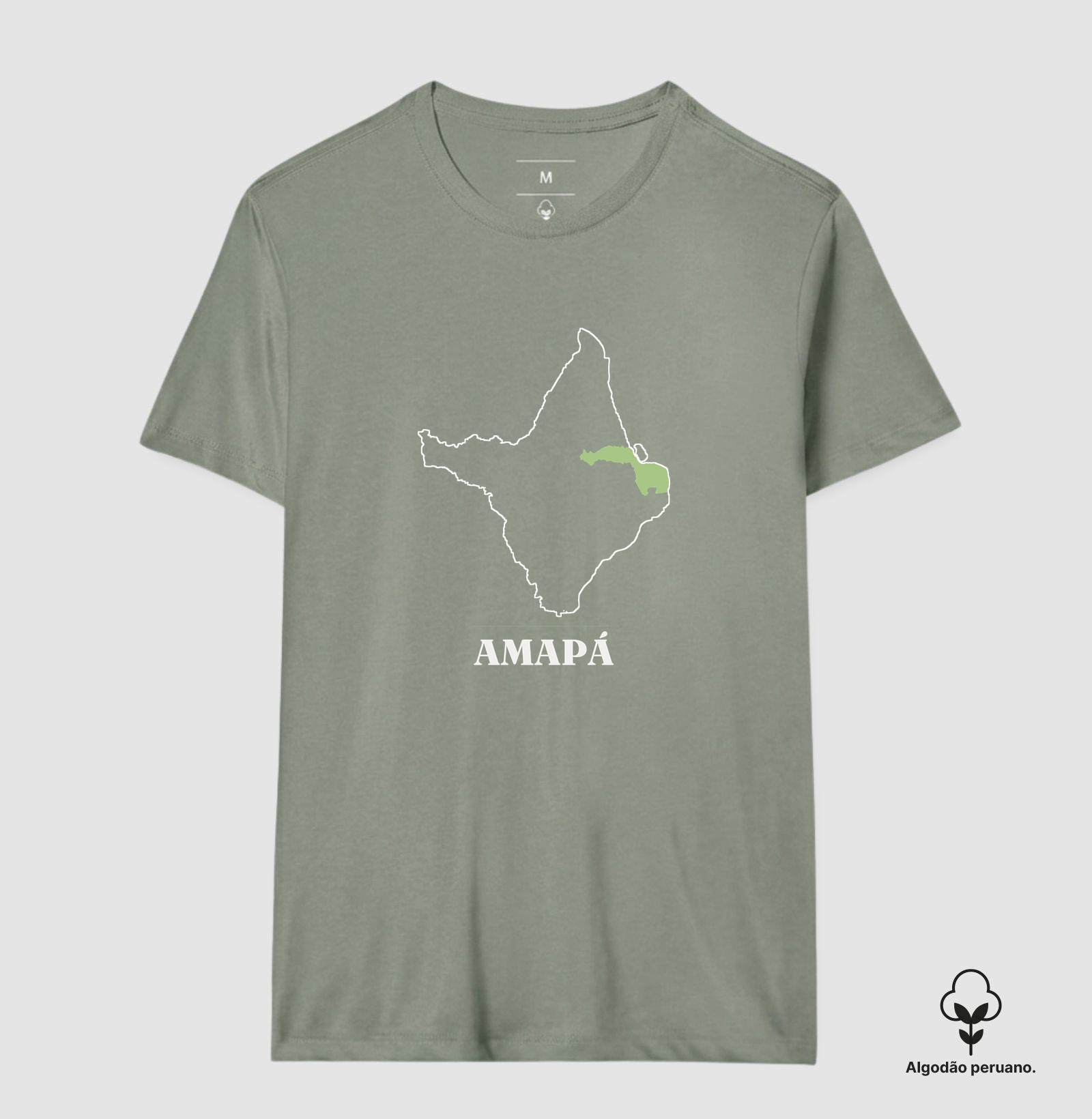 Amapá | Traço AP - Imagem 9