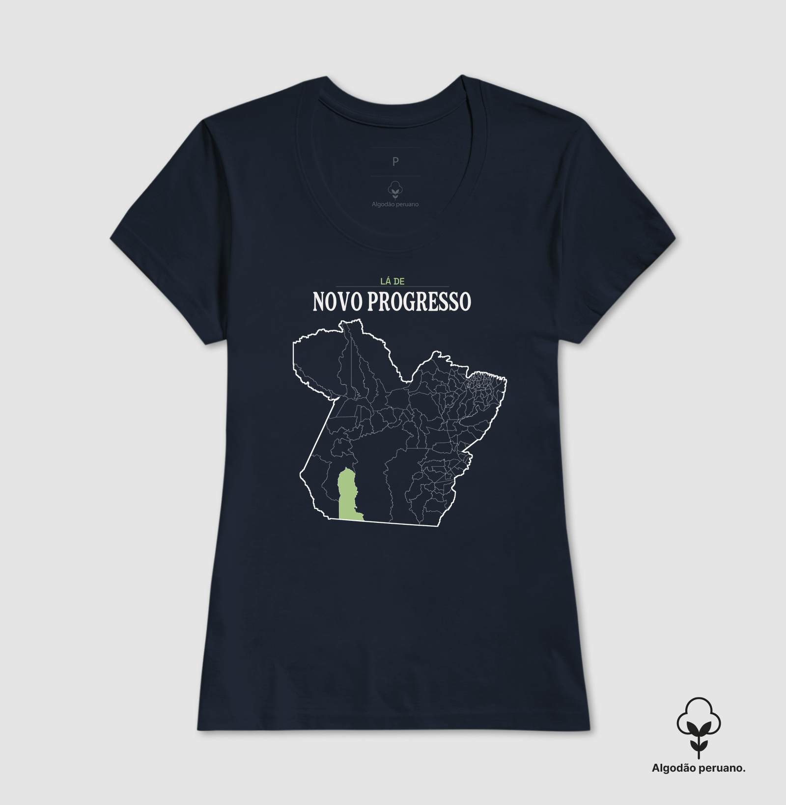 Novo Progresso | Território PA - Imagem 8