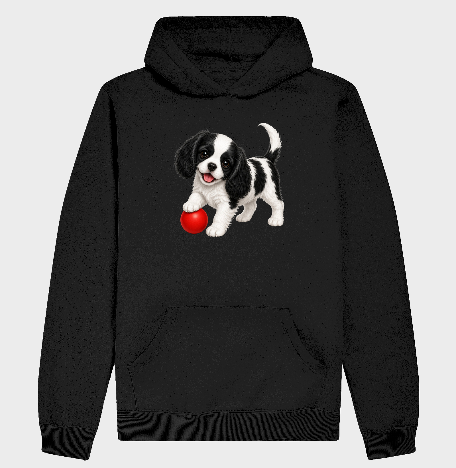 Cavalier King - Desenho Animado - Imagem 2