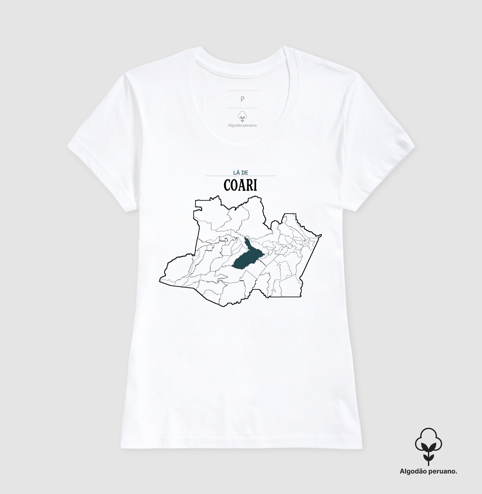 Coari | Território AM - Imagem 7