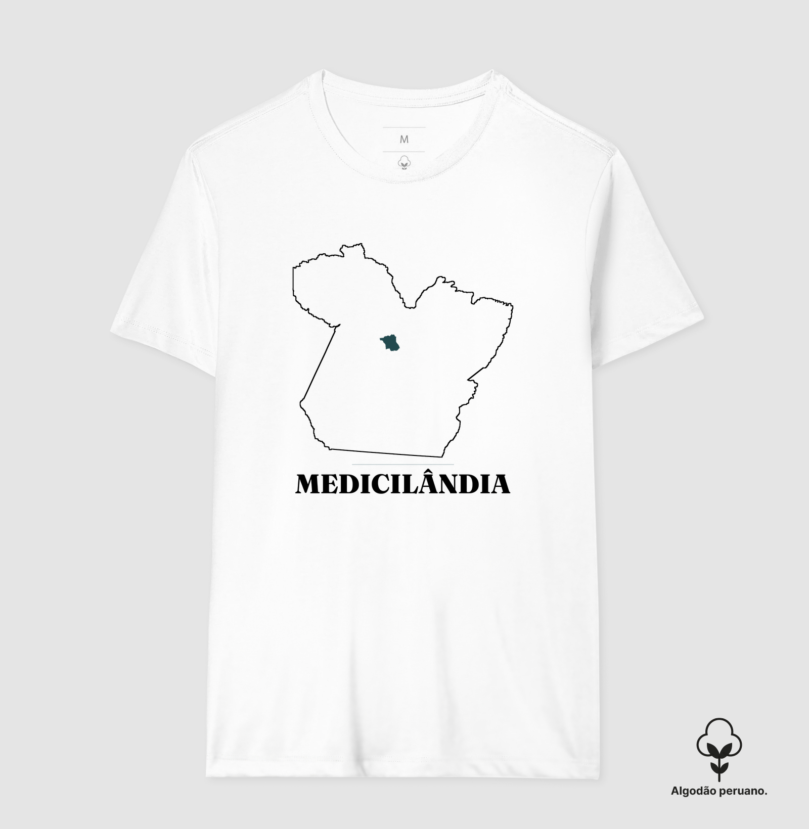 Medicilândia | Traço PA - Imagem 6
