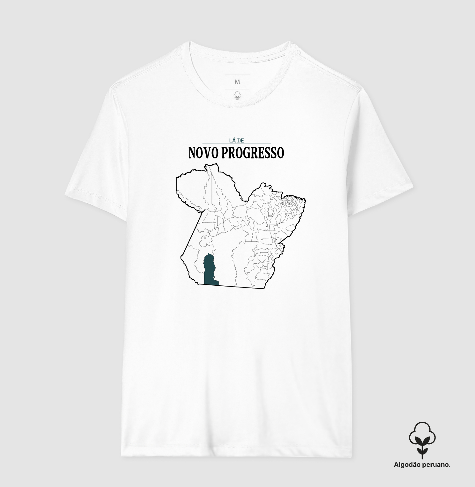 Novo Progresso | Território PA - Imagem 6