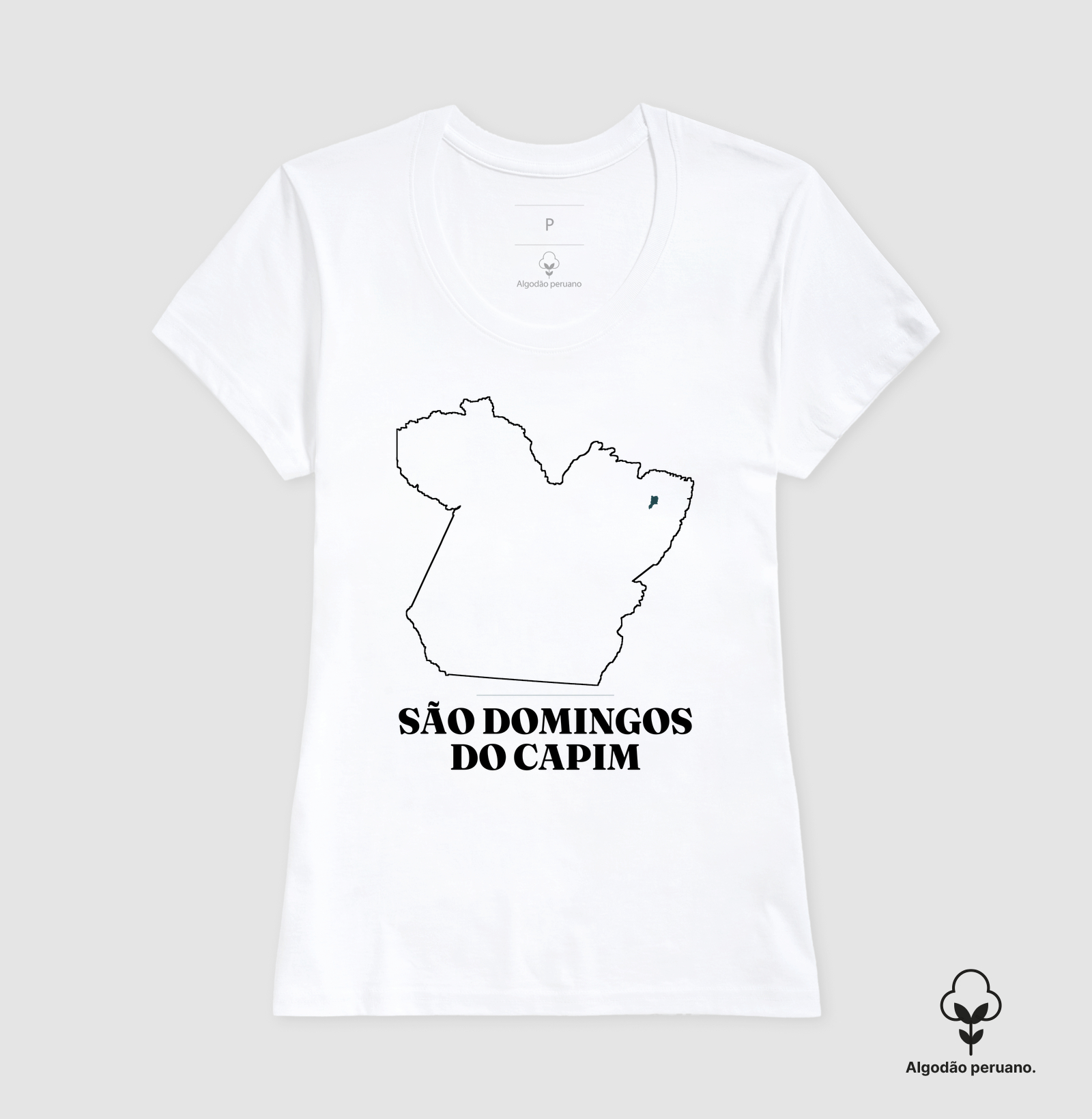 São Domingos do Capim | Traço PA - Imagem 6