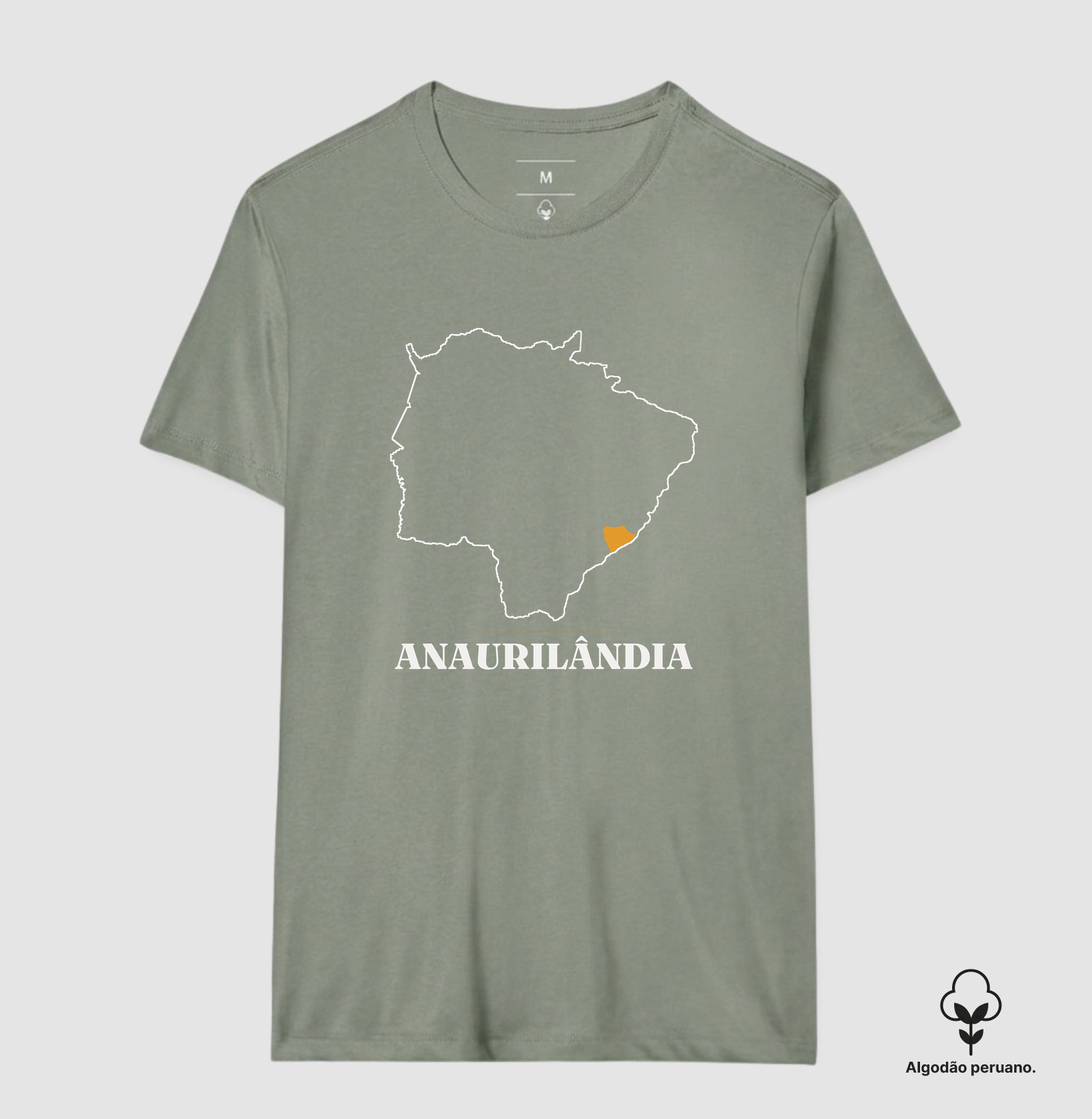 Anaurilândia | Traço MS - Imagem 9