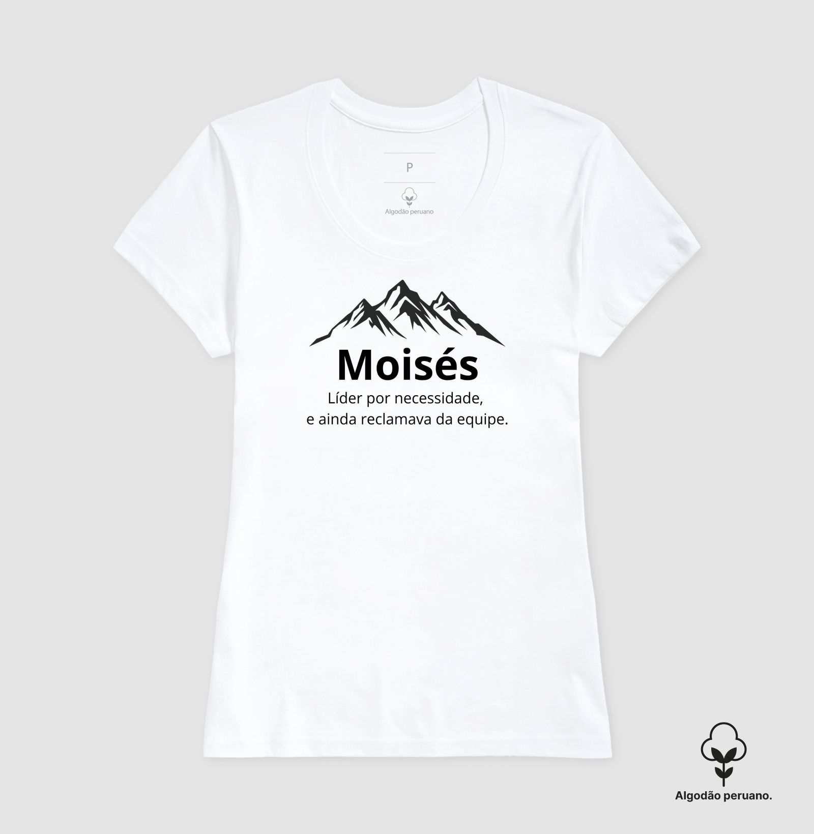 Moisés - Imagem 3