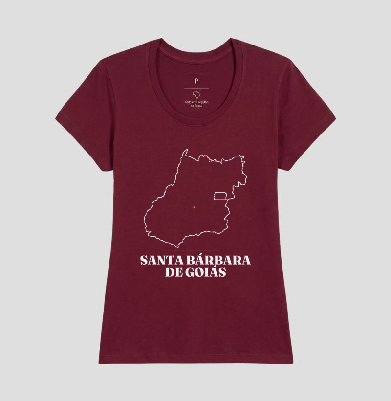 Santa Bárbara de Goiás | Traço GO - Imagem 19