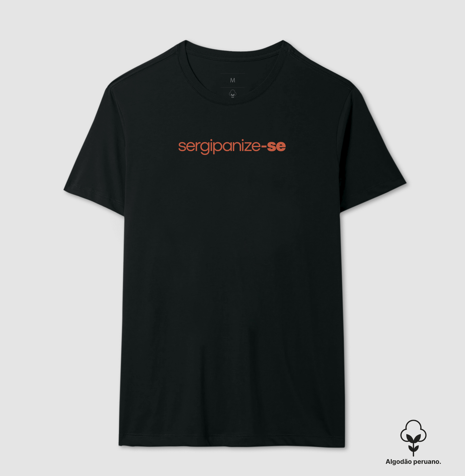 Sergipanize-se - Imagem 6