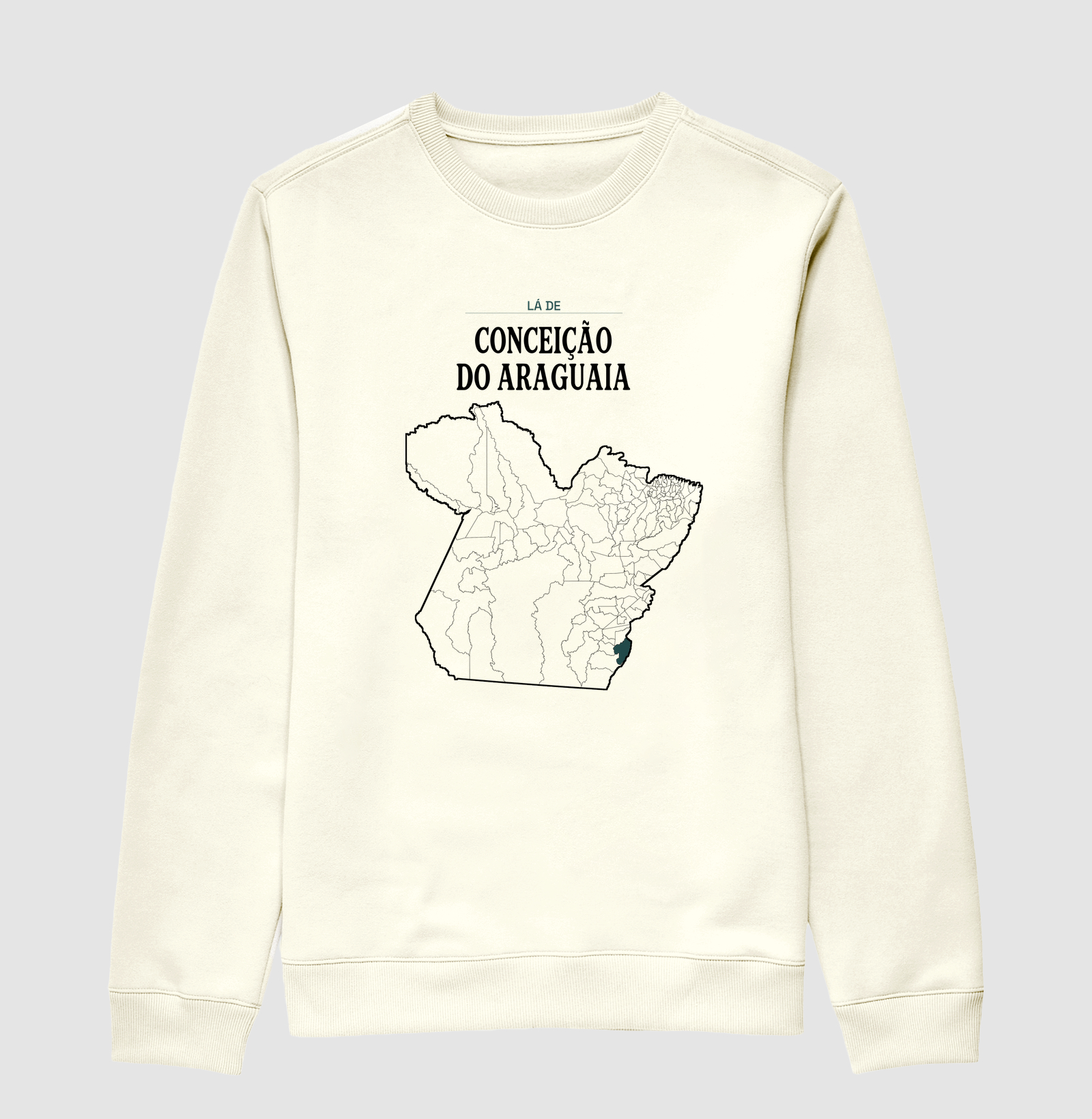 Conceição do Araguaia | Território PA - Imagem 2
