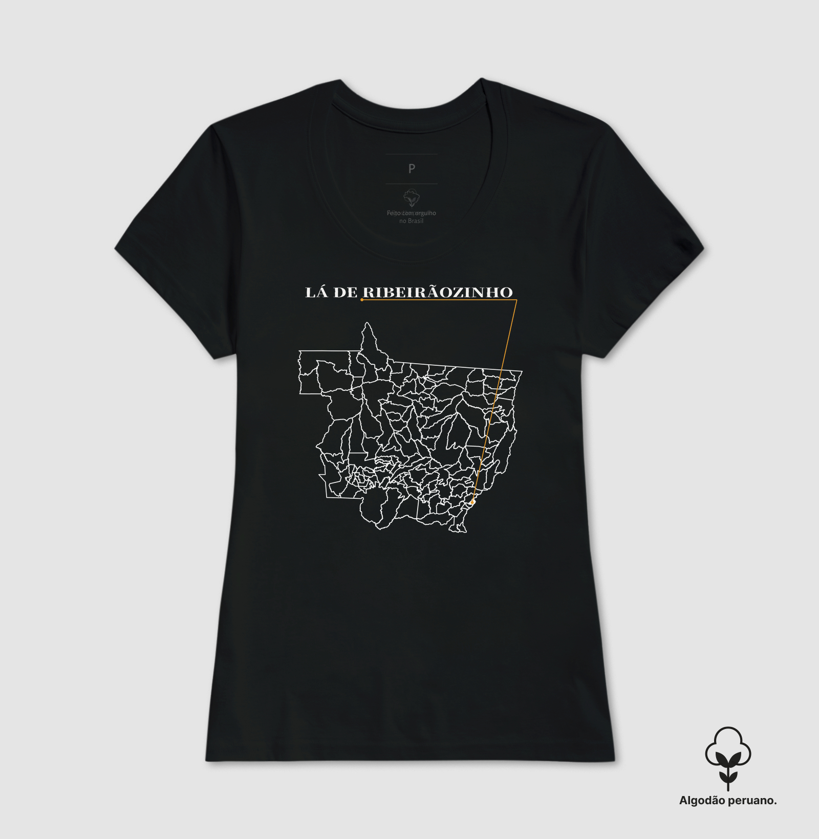 Ribeirãozinho | Origem MT - Imagem 2