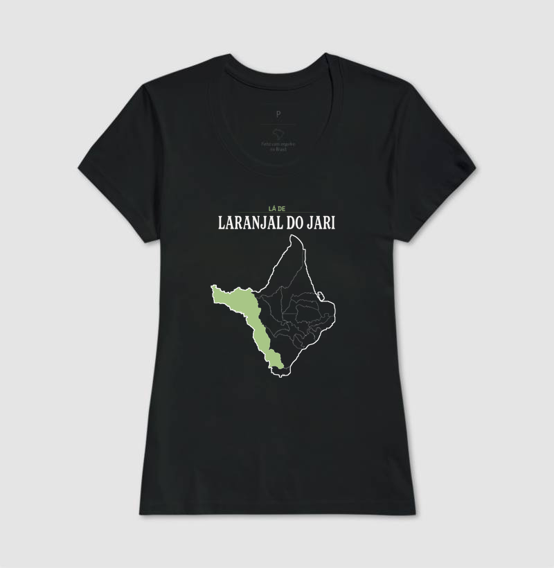 Laranjal do Jari | Território AP - Imagem 3