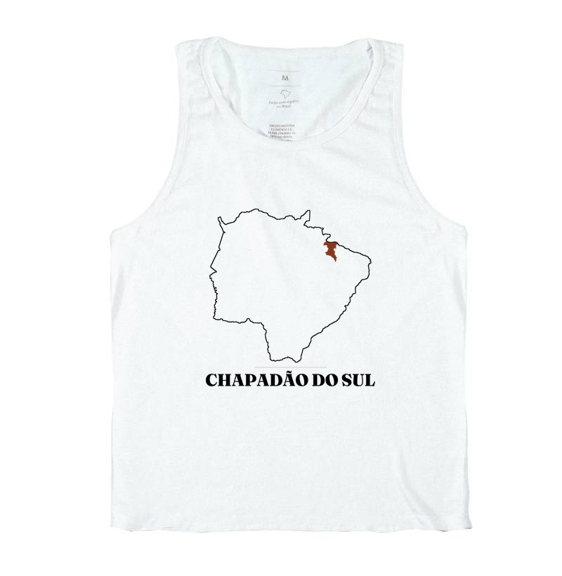 Chapadão do Sul | Traço MS - Imagem 2