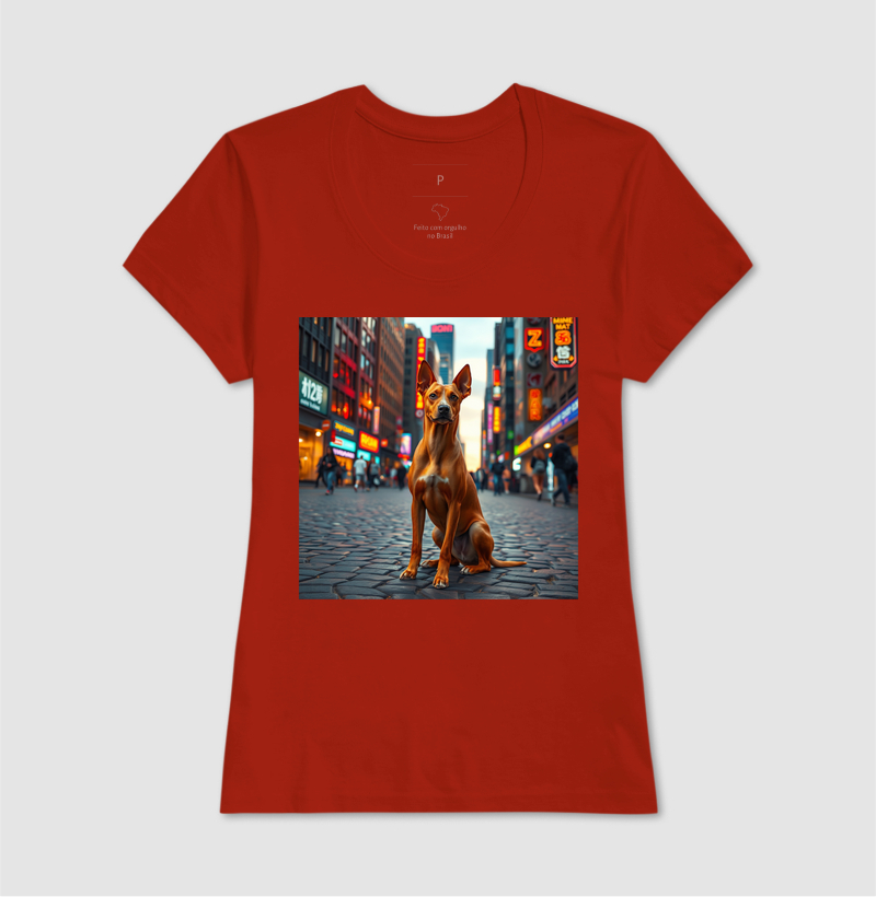 Camisa 10