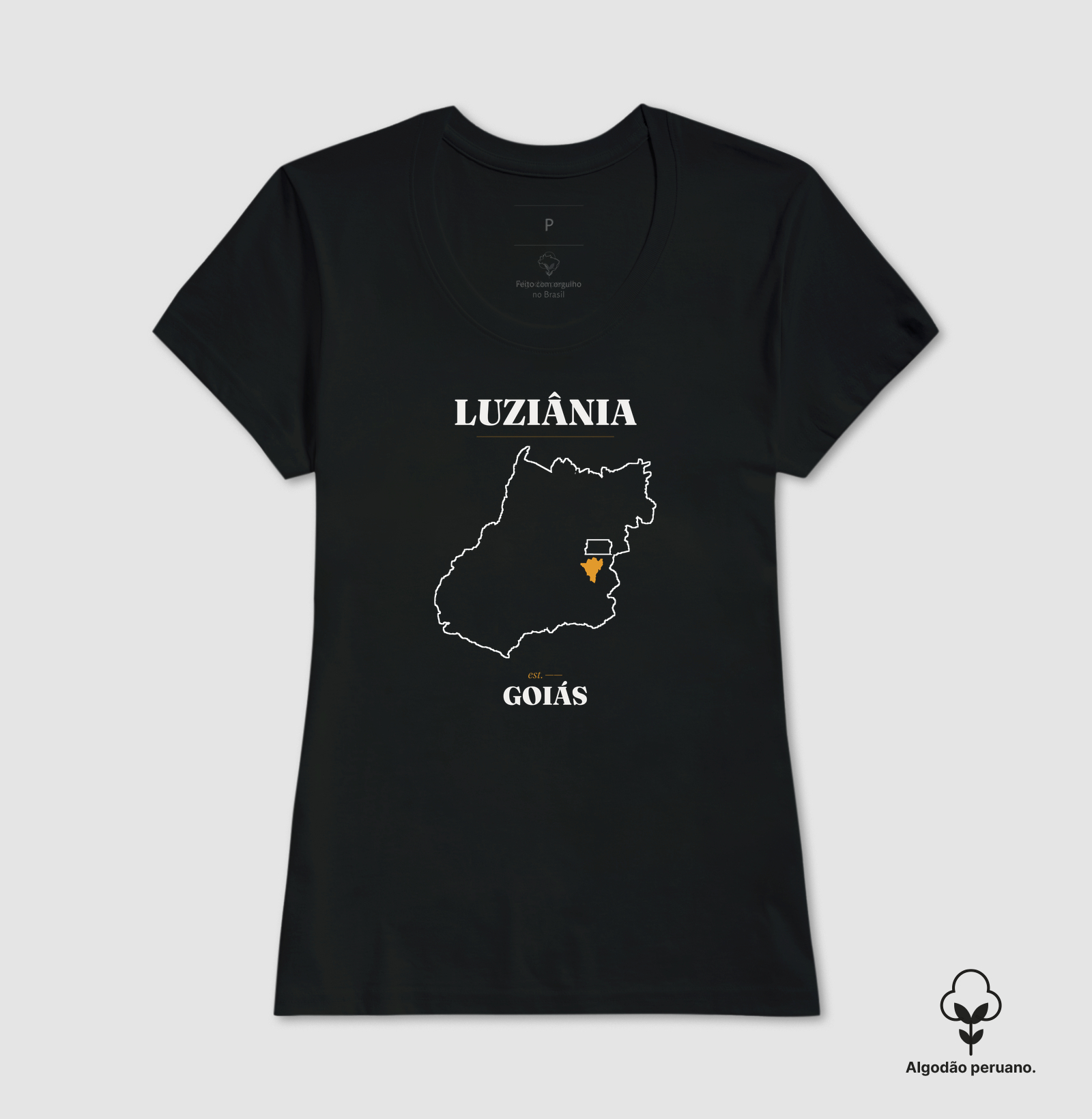 Luziânia | Legado GO - Imagem 5