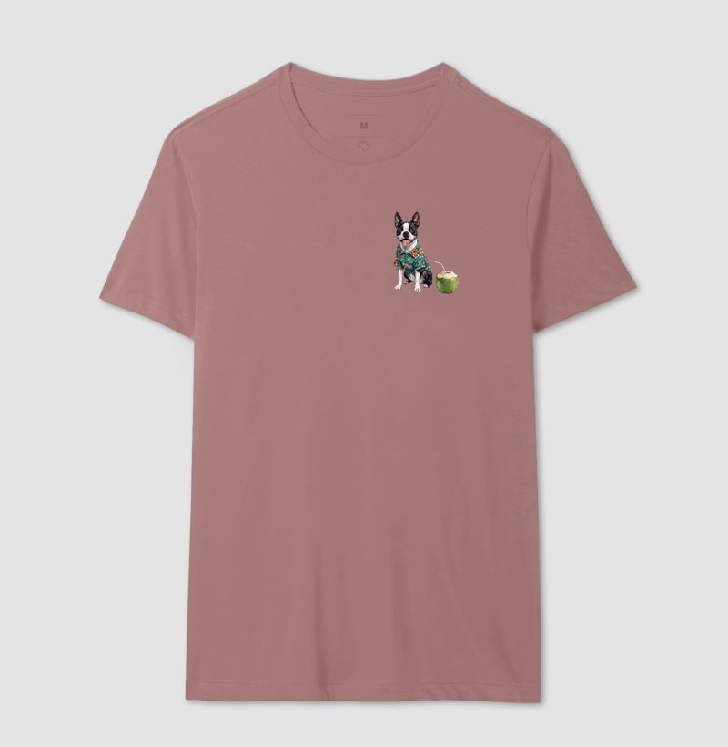 Boston Terrier - Férias - Imagem 16