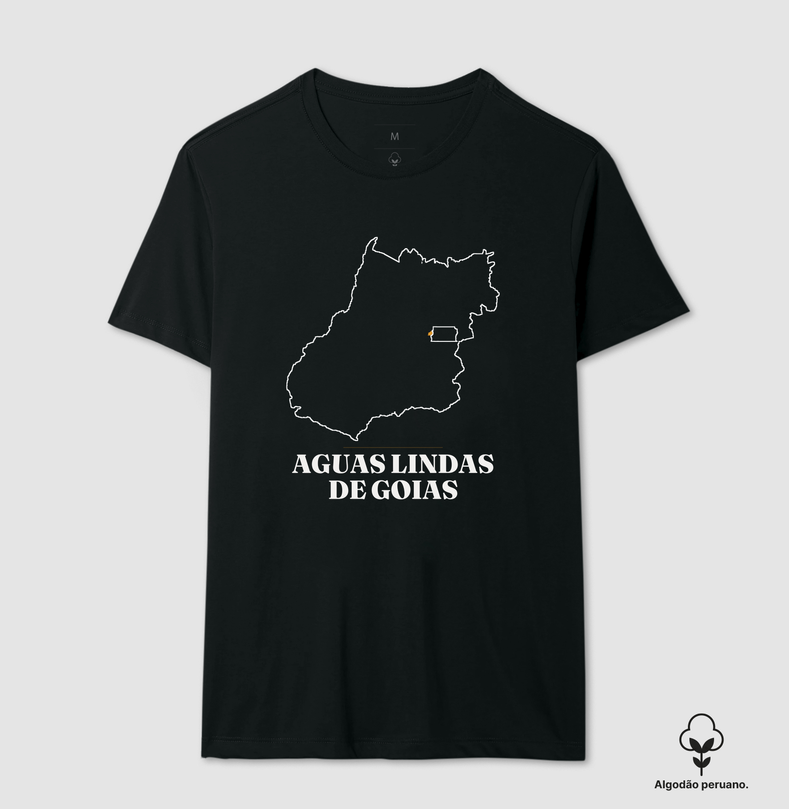 Águas Lindas de Goiás | Traço GO - Imagem 6