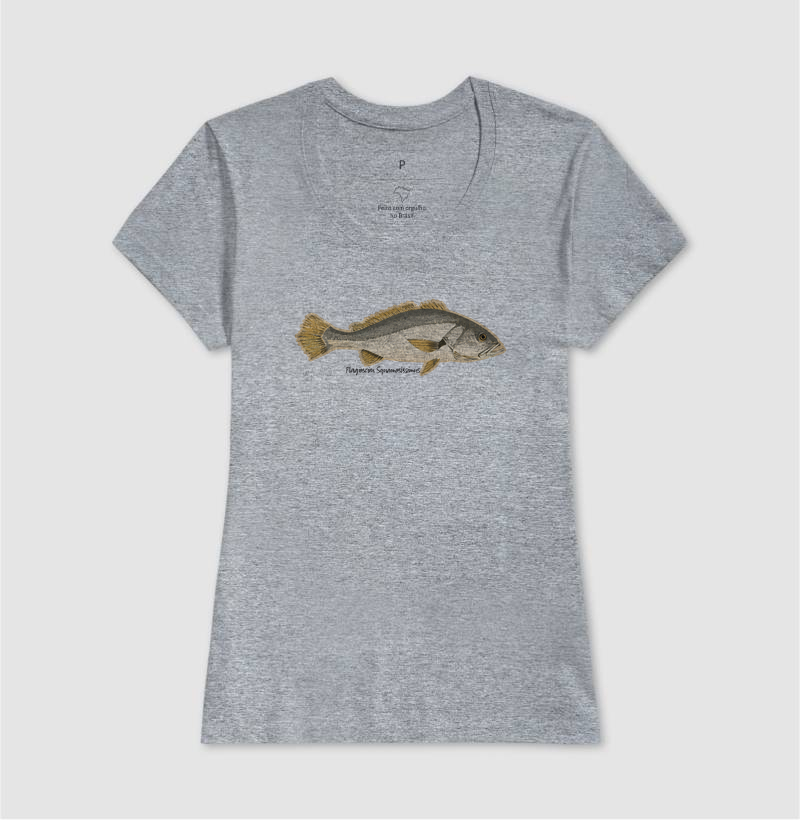 🎣 Corvina 🐟 - Imagem 9