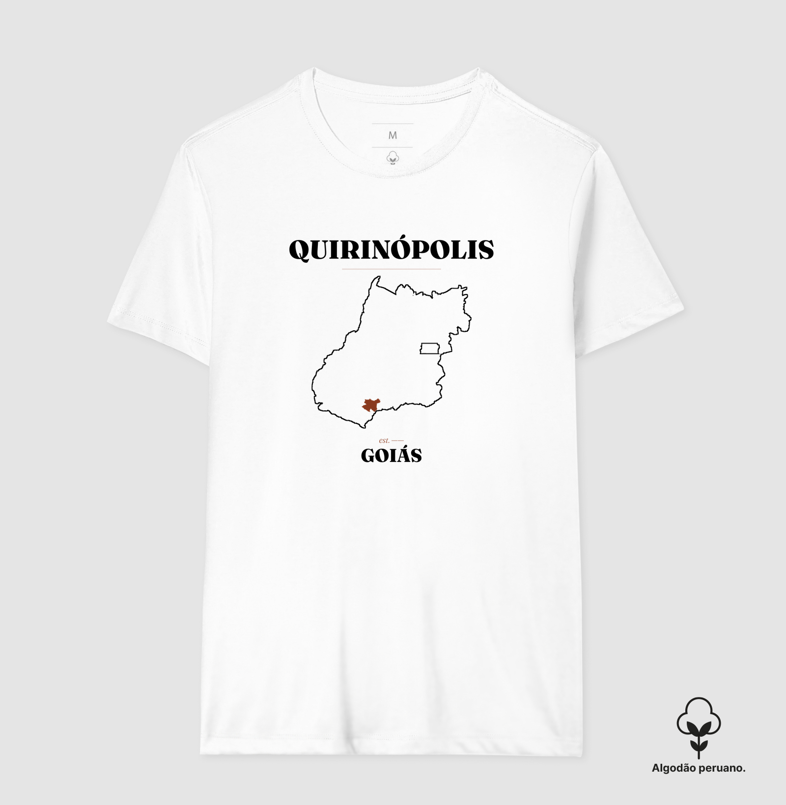 Quirinópolis | Legado GO - Imagem 7