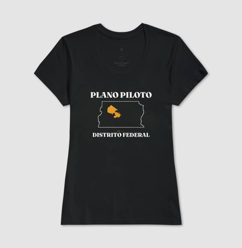 Plano Piloto | Legado DF - Imagem 3