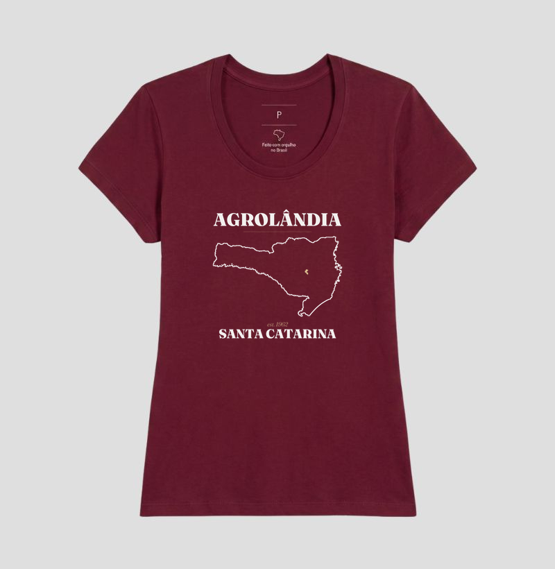 Agrolândia | Legado SC - Imagem 19