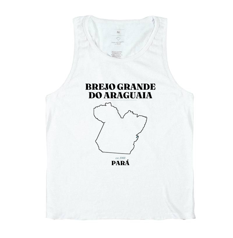 Brejo Grande do Araguaia | Legado PA - Imagem 2