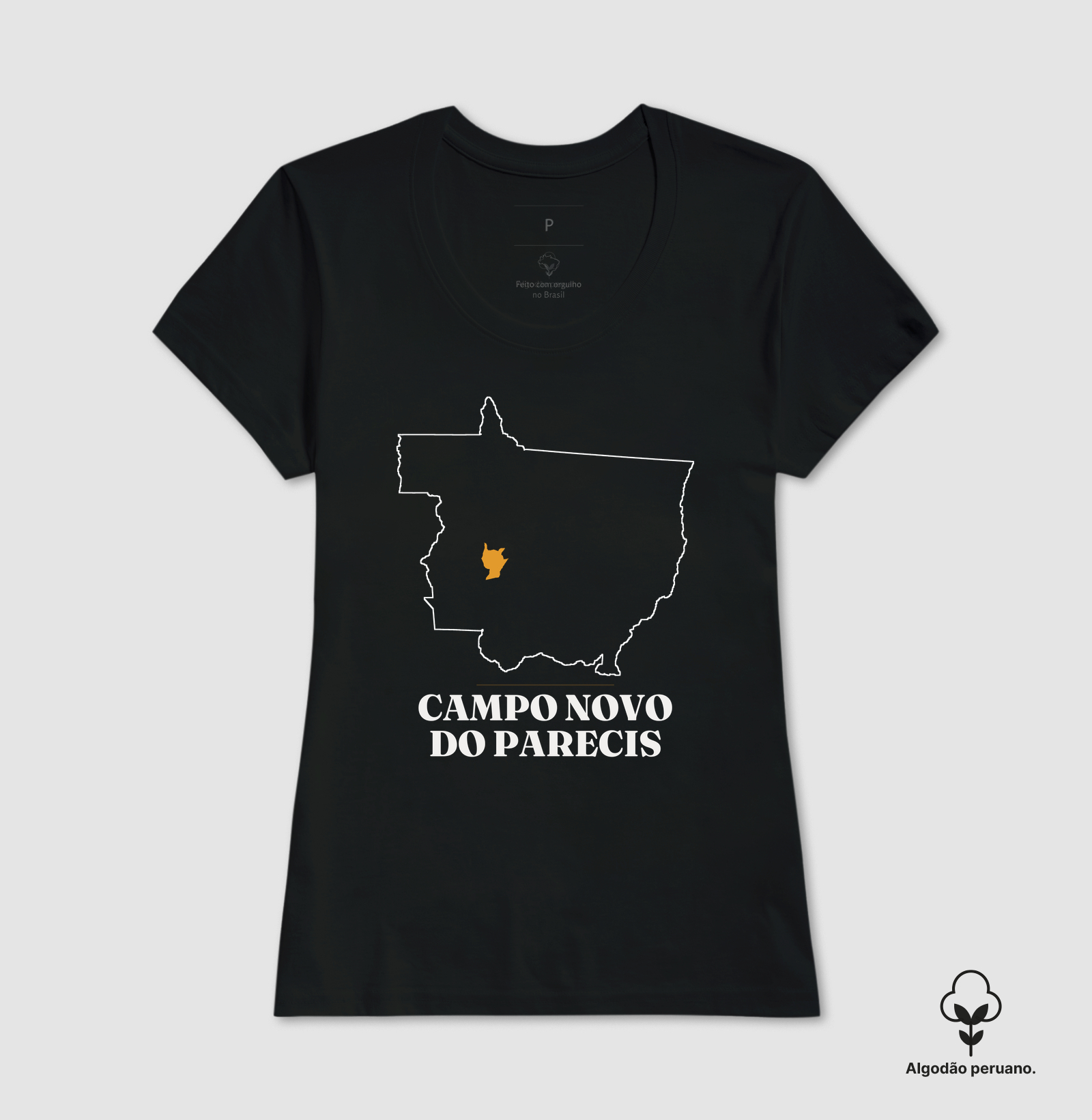 Campo Novo do Parecis | Traço MT - Imagem 3