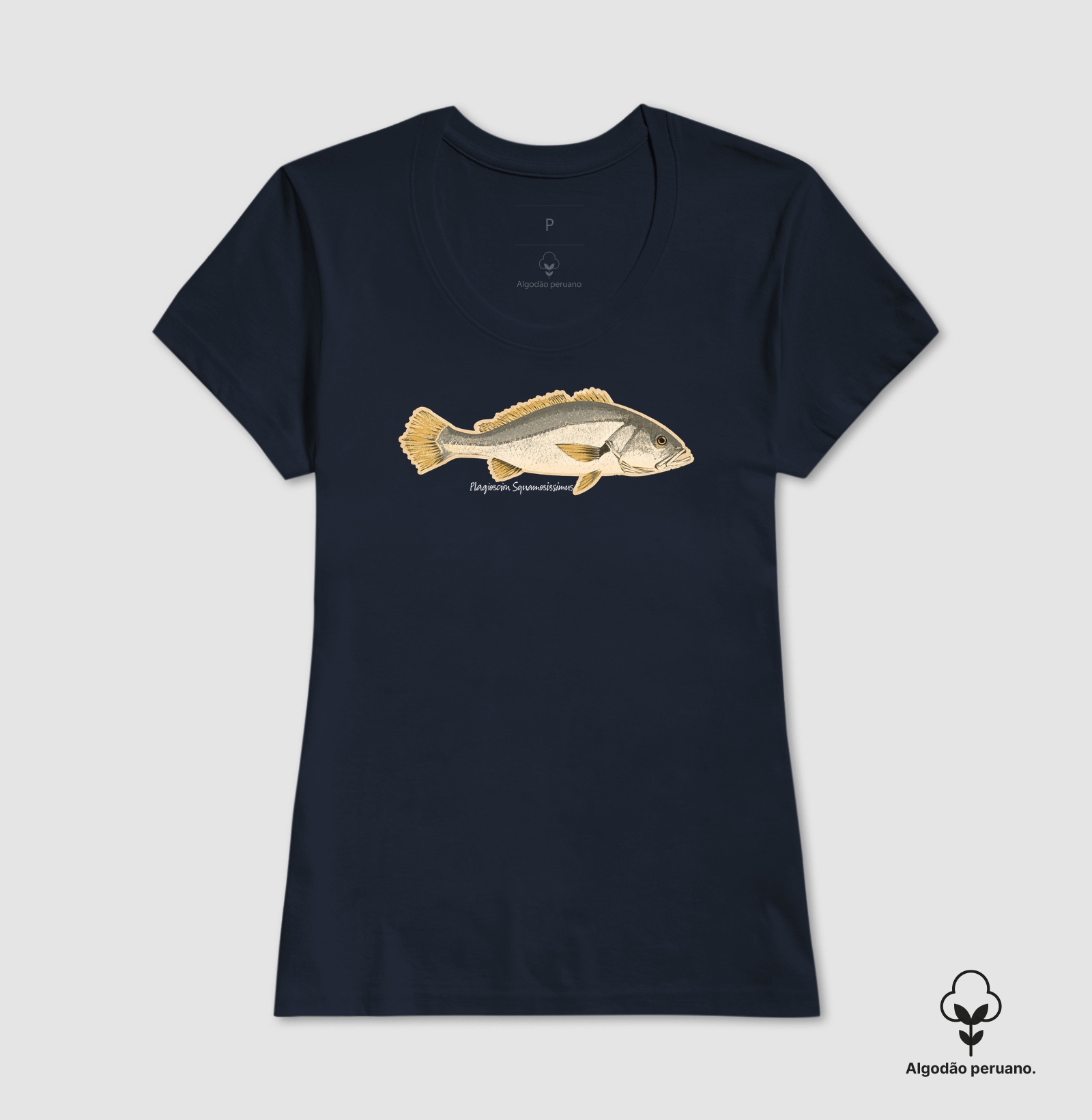 🎣 Corvina 🐟 - Imagem 3